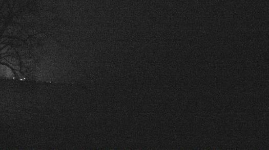 Weather camera view of Forest Lawn Beach.