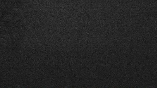 Weather camera view of Forest Lawn Beach.