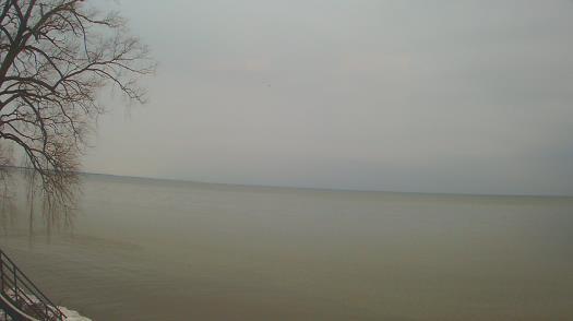 Weather camera view of Forest Lawn Beach.