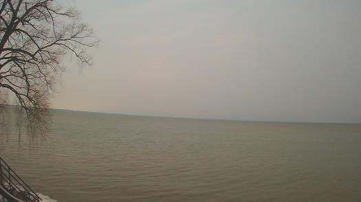 Weather camera view of Forest Lawn Beach.