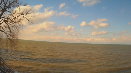 Weather camera view of Forest Lawn Beach.