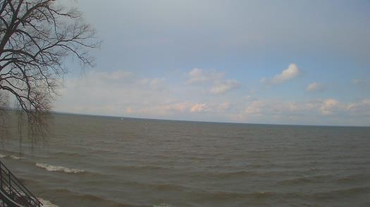 Weather camera view of Forest Lawn Beach.