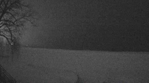 Weather camera view of Forest Lawn Beach.