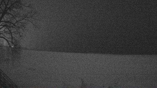 Weather camera view of Forest Lawn Beach.