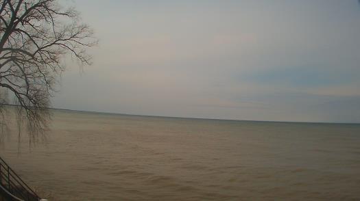 Weather camera view of Forest Lawn Beach.