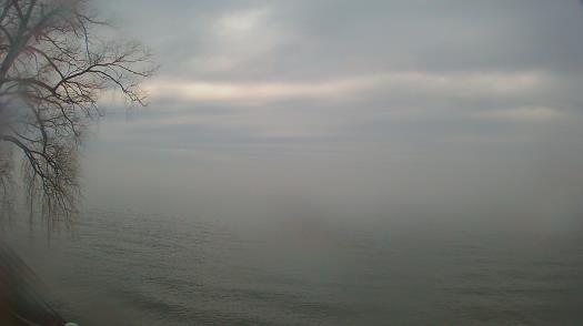 Weather camera view of Forest Lawn Beach.