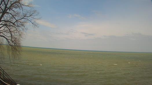 Weather camera view of Forest Lawn Beach.