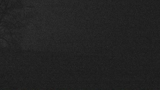 Weather camera view of Forest Lawn Beach.