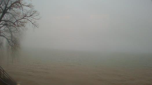 Weather camera view of Forest Lawn Beach.