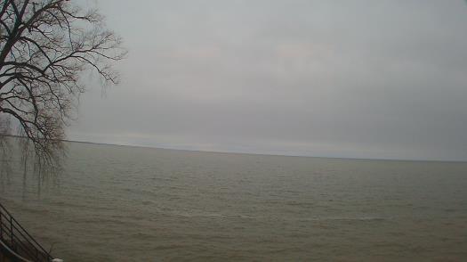 Weather camera view of Forest Lawn Beach.