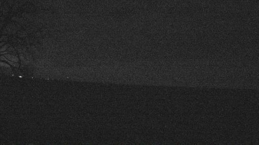 Weather camera view of Forest Lawn Beach.