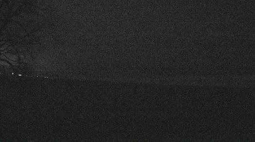 Weather camera view of Forest Lawn Beach.