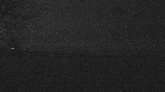 Weather camera view of Forest Lawn Beach.