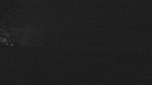 Weather camera view of Forest Lawn Beach.