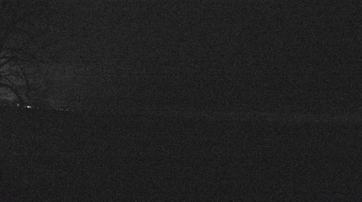 Weather camera view of Forest Lawn Beach.