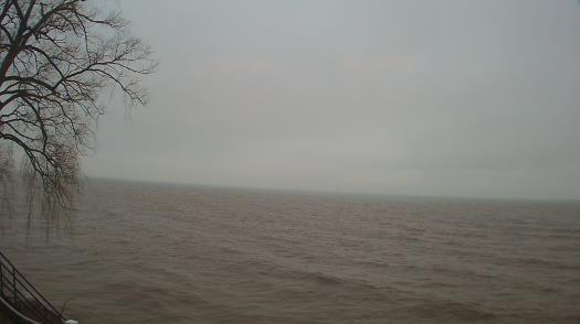 Weather camera view of Forest Lawn Beach.