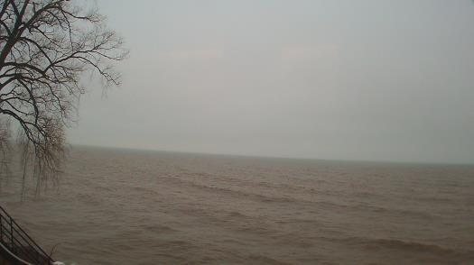 Weather camera view of Forest Lawn Beach.