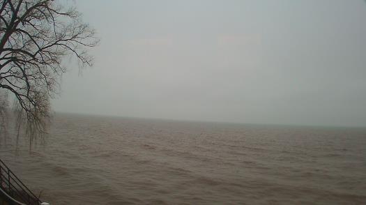 Weather camera view of Forest Lawn Beach.