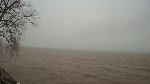 Weather camera view of Forest Lawn Beach.