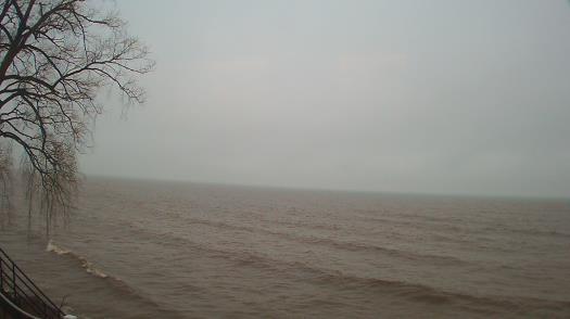 Weather camera view of Forest Lawn Beach.