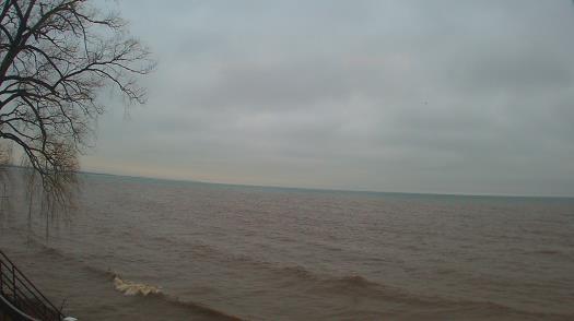 Weather camera view of Forest Lawn Beach.