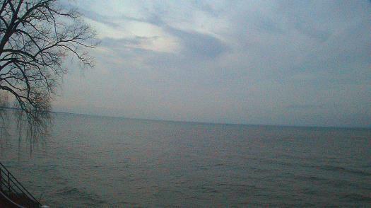 Weather camera view of Forest Lawn Beach.