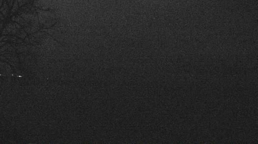 Weather camera view of Forest Lawn Beach.