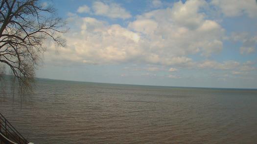 Weather camera view of Forest Lawn Beach.