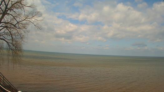 Weather camera view of Forest Lawn Beach.