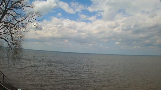 Weather camera view of Forest Lawn Beach.