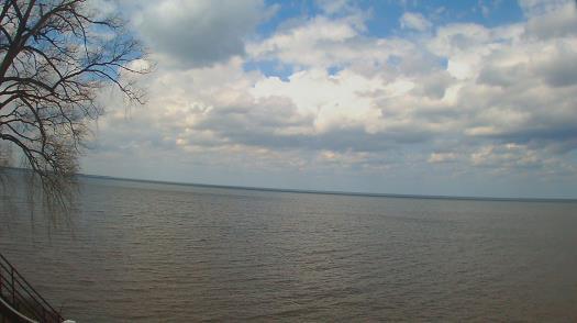 Weather camera view of Forest Lawn Beach.