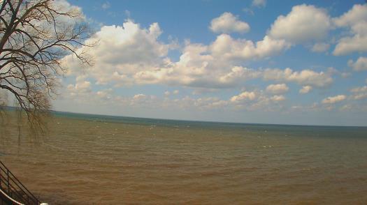 Weather camera view of Forest Lawn Beach.