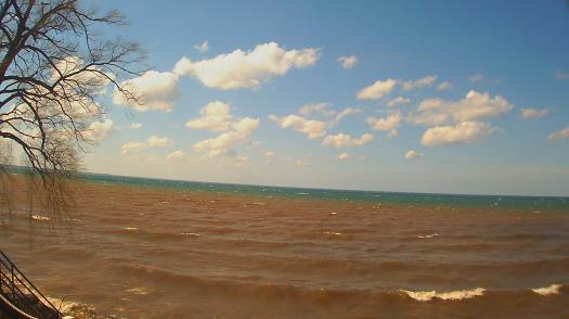 Weather camera view of Forest Lawn Beach.