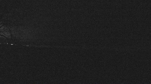 Weather camera view of Forest Lawn Beach.