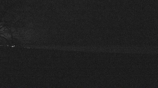 Weather camera view of Forest Lawn Beach.