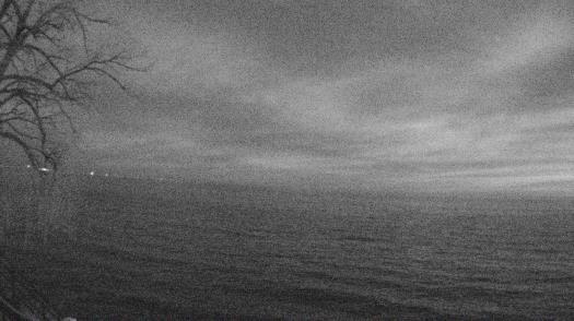Weather camera view of Forest Lawn Beach.