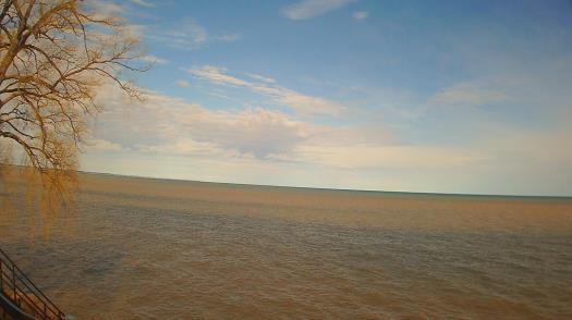 Weather camera view of Forest Lawn Beach.