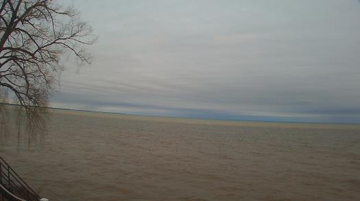 Weather camera view of Forest Lawn Beach.