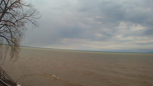 Weather camera view of Forest Lawn Beach.