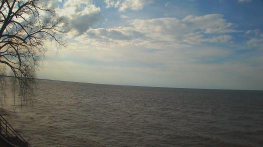 Weather camera view of Forest Lawn Beach.