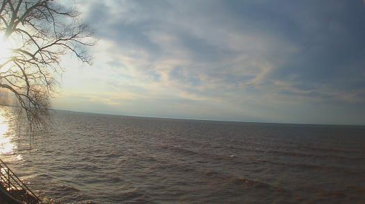 Weather camera view of Forest Lawn Beach.