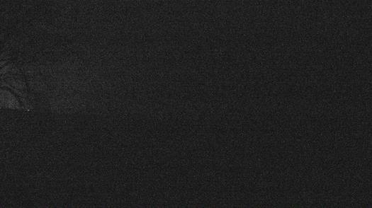 Weather camera view of Forest Lawn Beach.