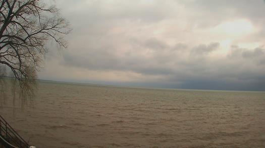 Weather camera view of Forest Lawn Beach.