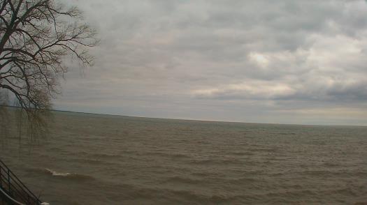 Weather camera view of Forest Lawn Beach.