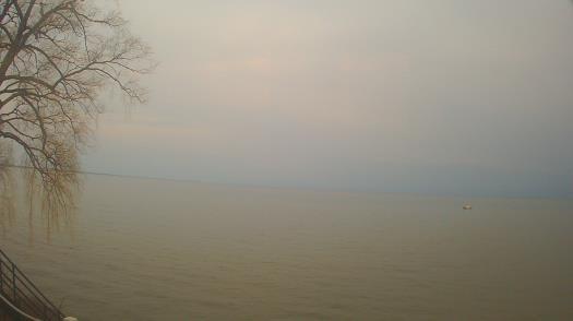 Weather camera view of Forest Lawn Beach.