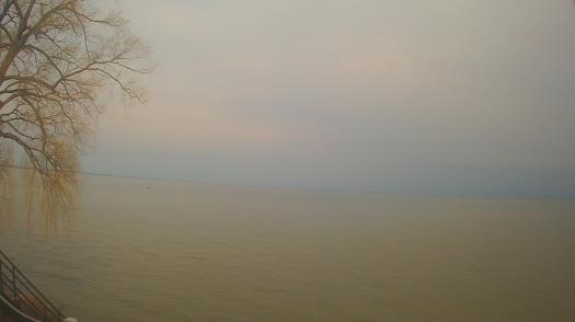 Weather camera view of Forest Lawn Beach.