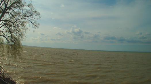 Weather camera view of Forest Lawn Beach.