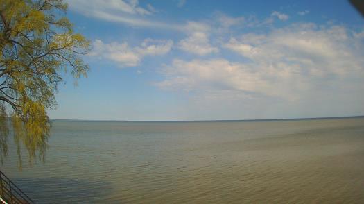 Weather camera view of Forest Lawn Beach.