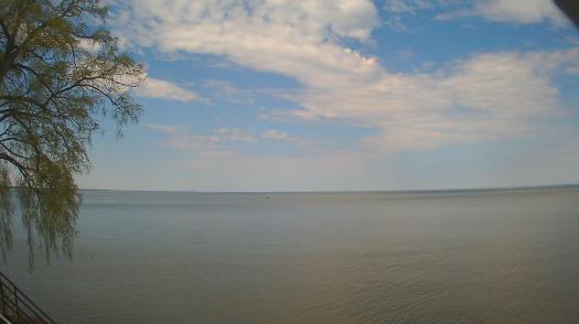 Weather camera view of Forest Lawn Beach.