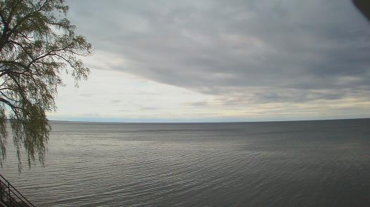 Weather camera view of Forest Lawn Beach.